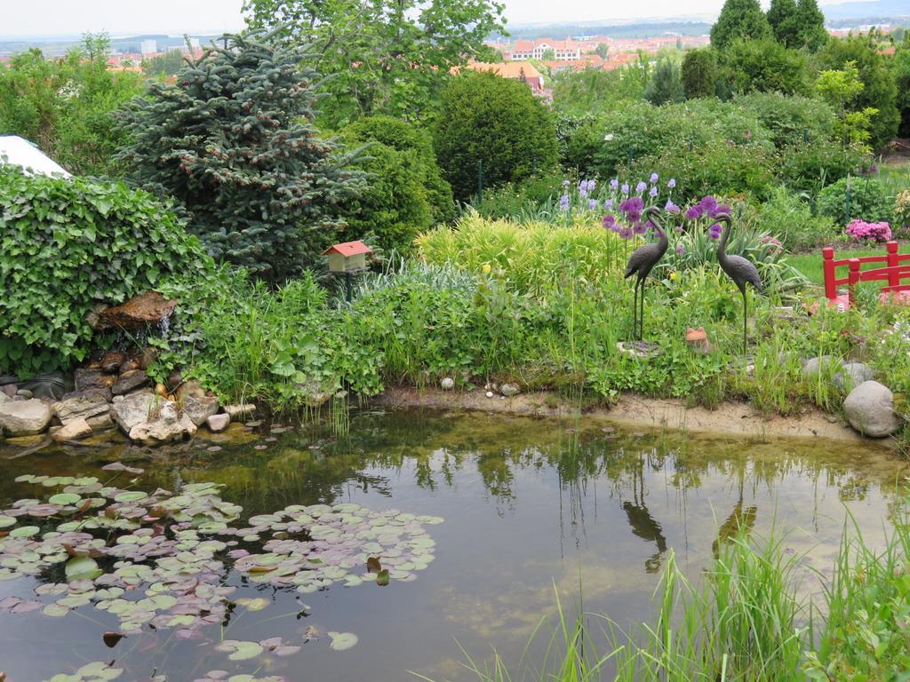 Guest house Erfurtblick Erfurt